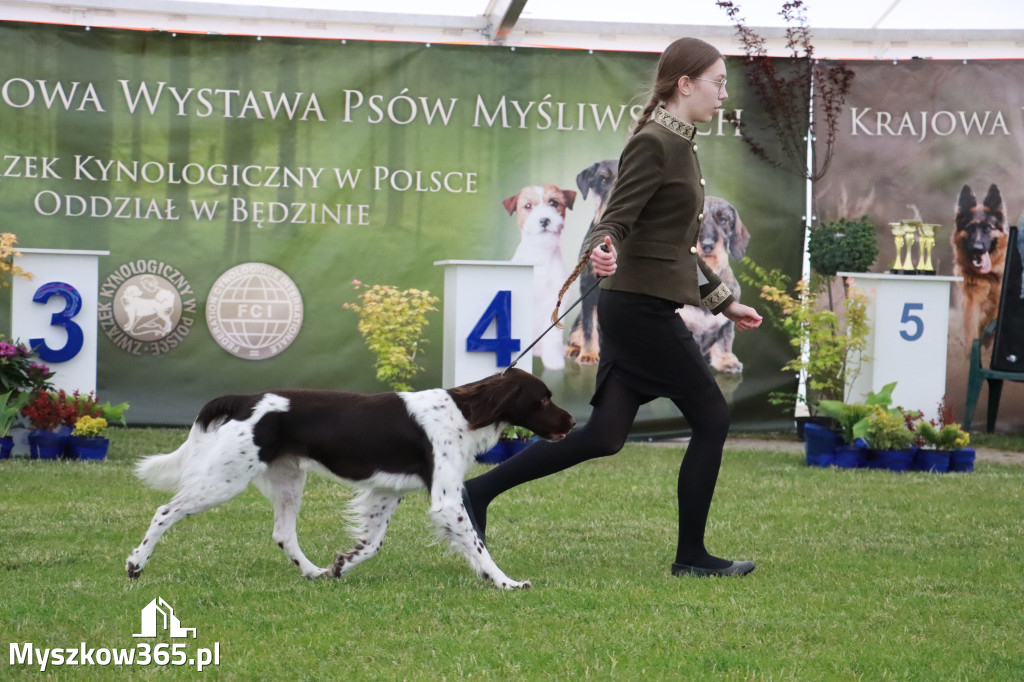 Fotorelacja - Wystawa Psów Rasowych GNIAZDÓW 2024r.