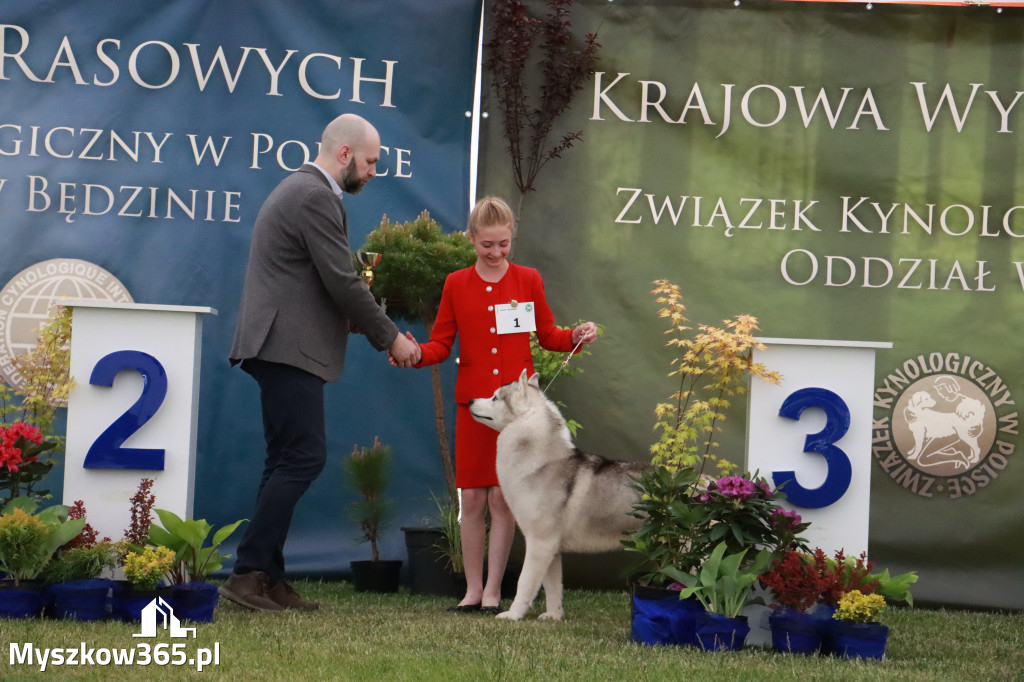 Fotorelacja - Wystawa Psów Rasowych GNIAZDÓW 2024r.