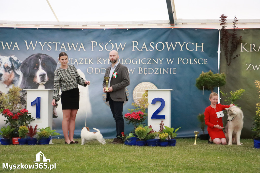 Fotorelacja - Wystawa Psów Rasowych GNIAZDÓW 2024r.