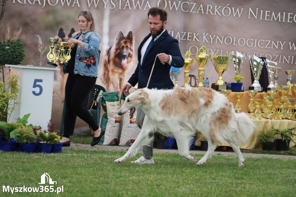 Fotorelacja - Wystawa Psów Rasowych GNIAZDÓW 2024r.