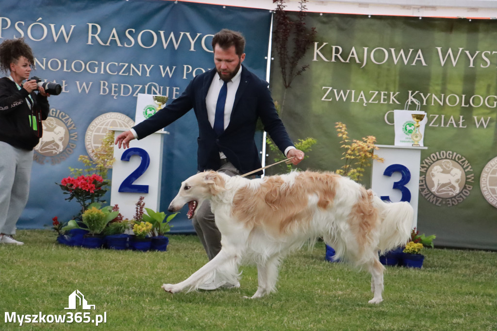 Fotorelacja - Wystawa Psów Rasowych GNIAZDÓW 2024r.