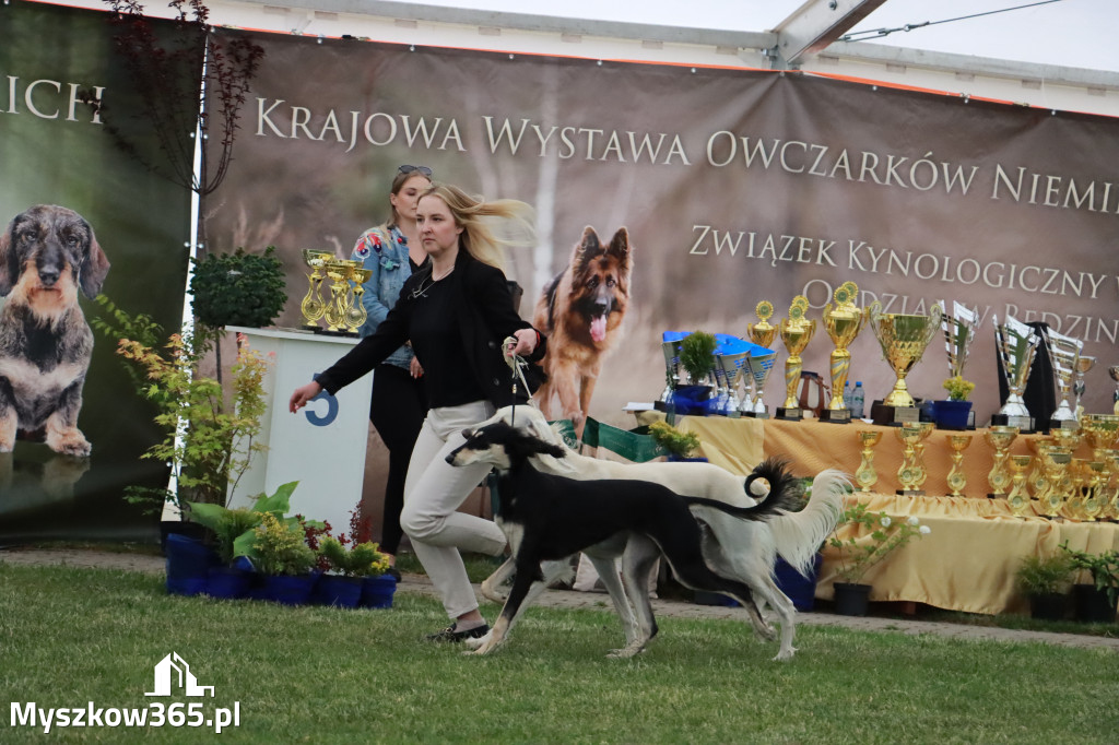 Fotorelacja - Wystawa Psów Rasowych GNIAZDÓW 2024r.