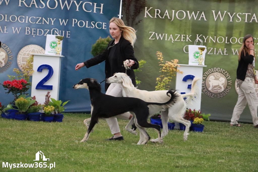 Fotorelacja - Wystawa Psów Rasowych GNIAZDÓW 2024r.