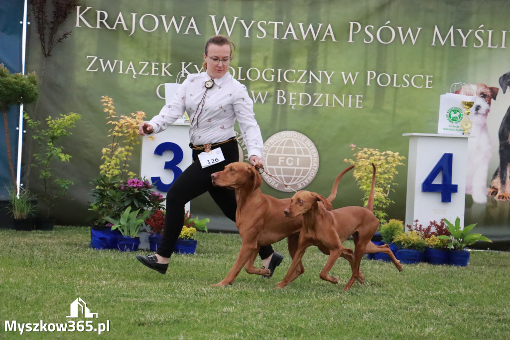 Fotorelacja - Wystawa Psów Rasowych GNIAZDÓW 2024r.