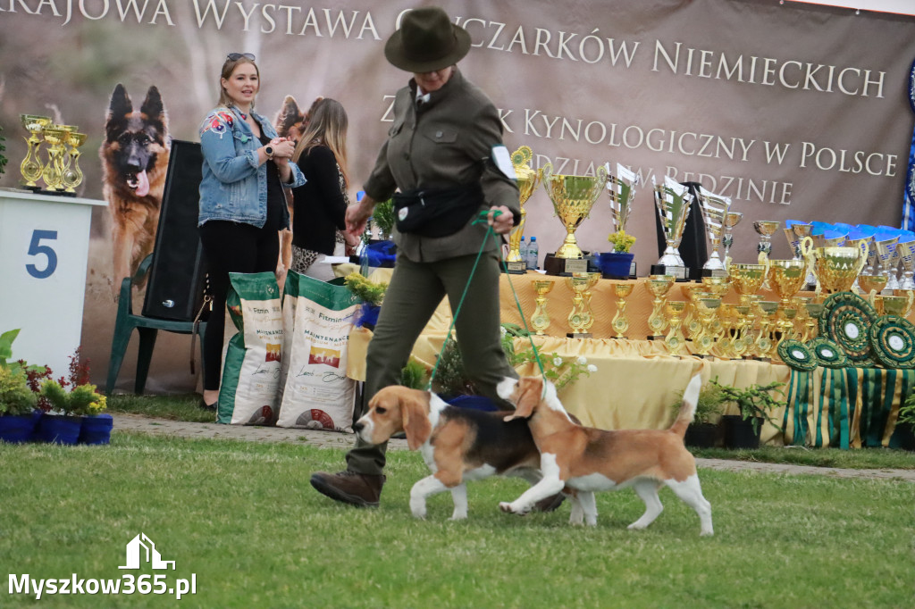 Fotorelacja - Wystawa Psów Rasowych GNIAZDÓW 2024r.