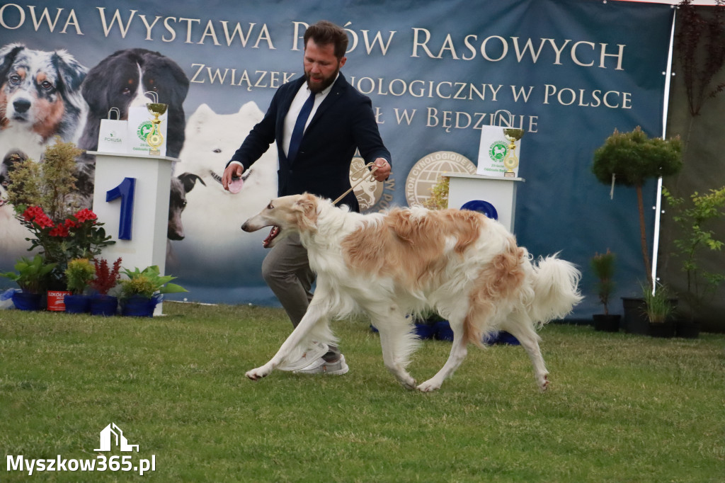 Fotorelacja - Wystawa Psów Rasowych GNIAZDÓW 2024r.