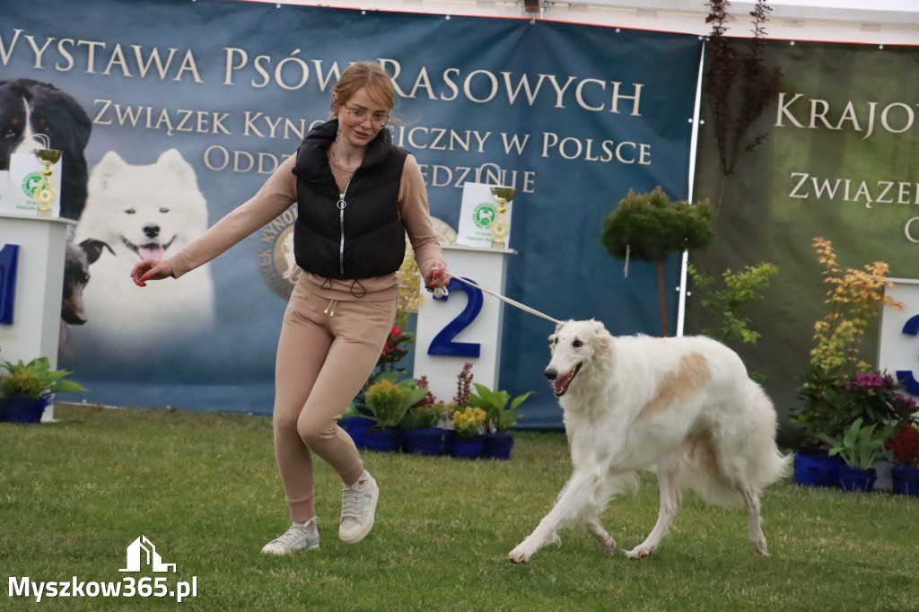 Fotorelacja - Wystawa Psów Rasowych GNIAZDÓW 2024r.