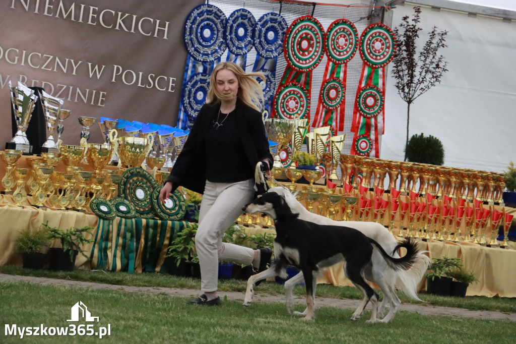 Fotorelacja - Wystawa Psów Rasowych GNIAZDÓW 2024r.