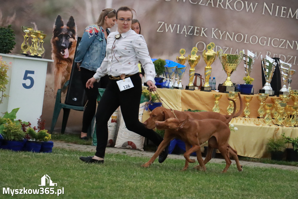 Fotorelacja - Wystawa Psów Rasowych GNIAZDÓW 2024r.