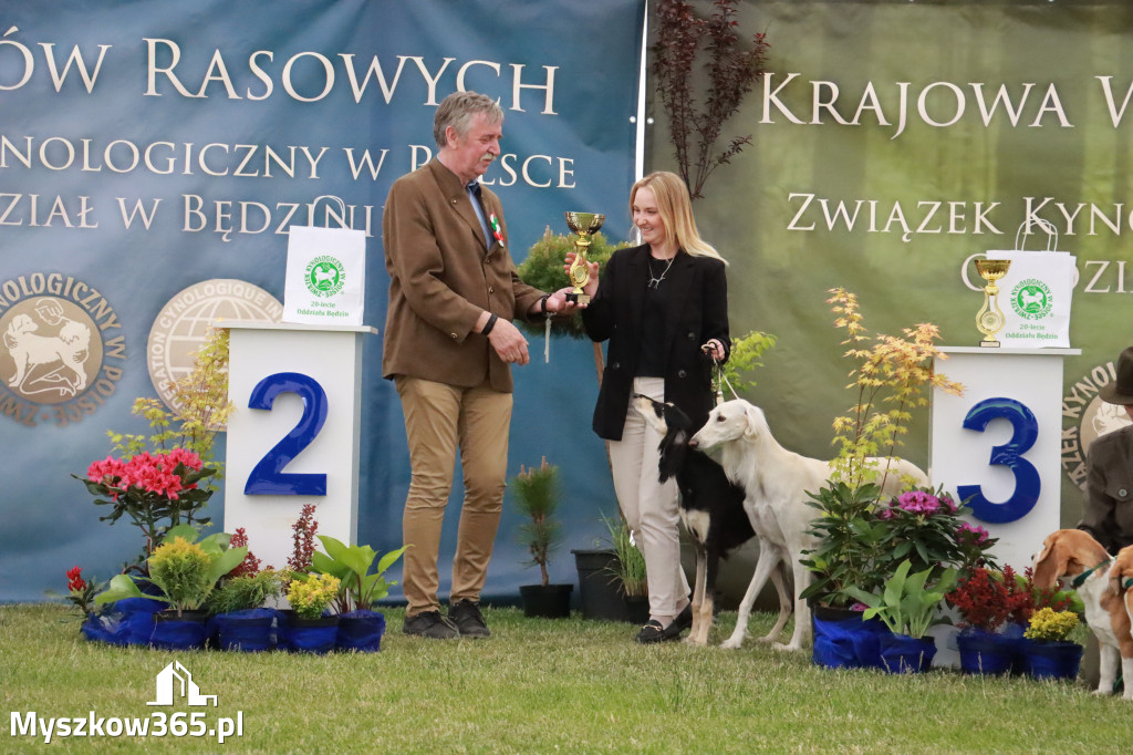 Fotorelacja - Wystawa Psów Rasowych GNIAZDÓW 2024r.