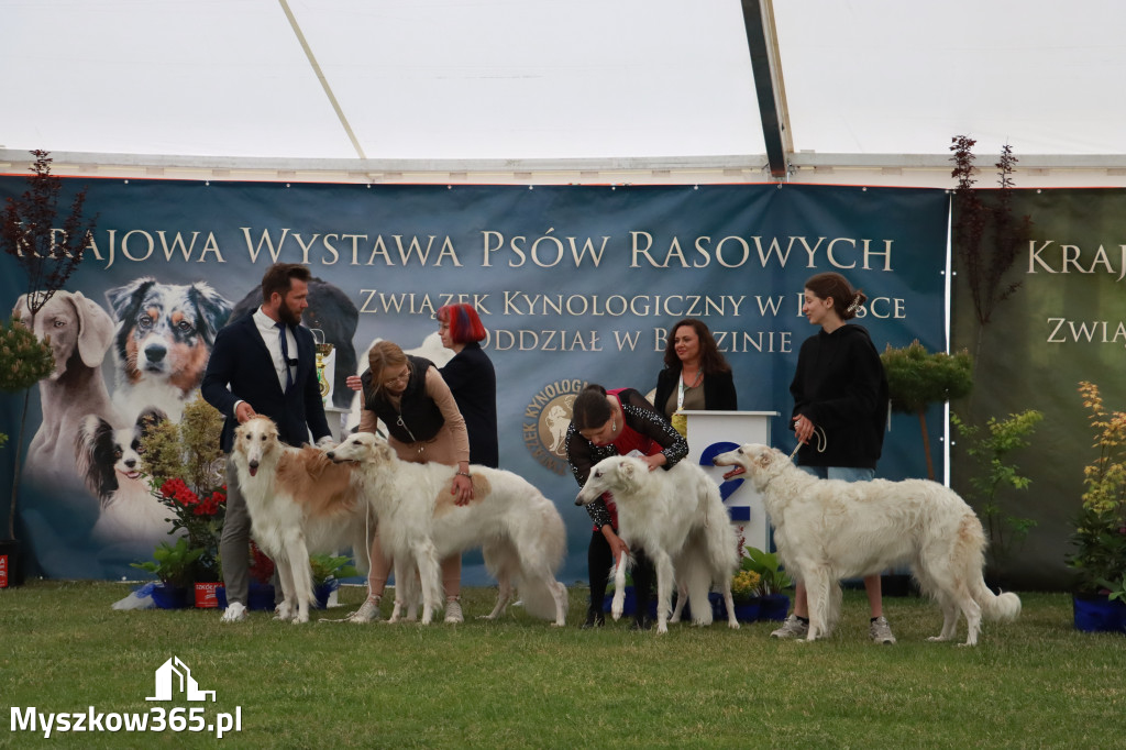 Fotorelacja - Wystawa Psów Rasowych GNIAZDÓW 2024r.