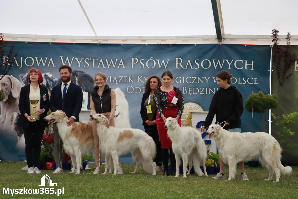 Fotorelacja - Wystawa Psów Rasowych GNIAZDÓW 2024r.