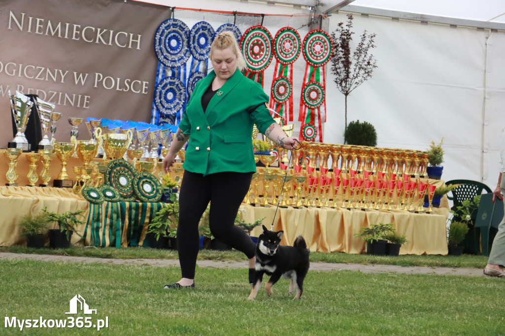 Fotorelacja - Wystawa Psów Rasowych GNIAZDÓW 2024r.