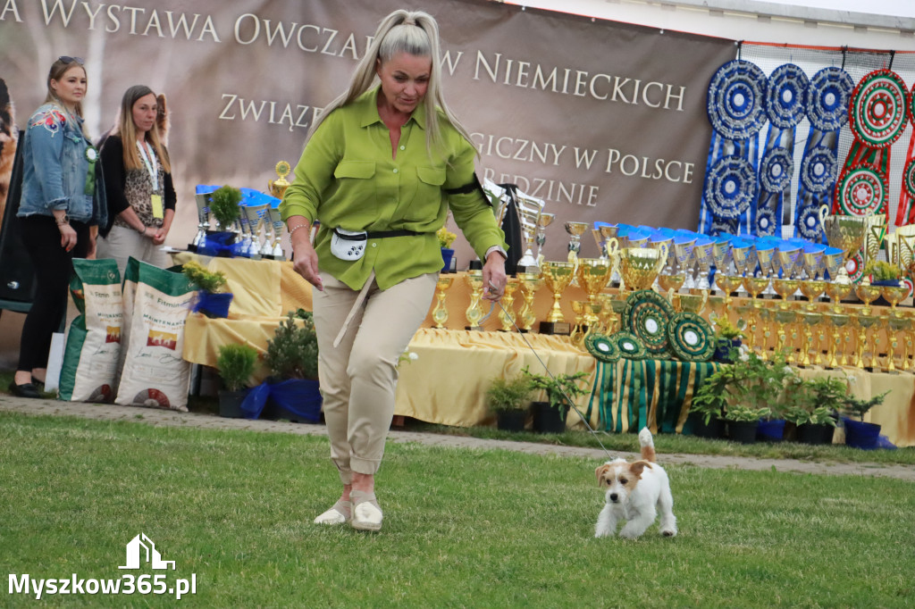 Fotorelacja - Wystawa Psów Rasowych GNIAZDÓW 2024r.