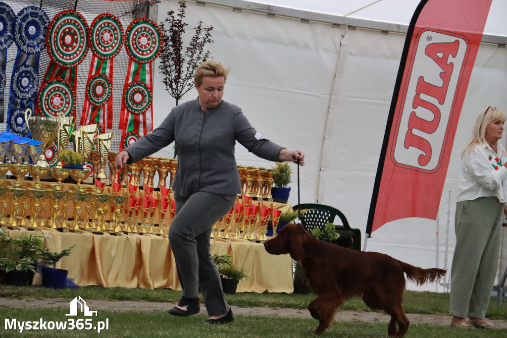 Fotorelacja - Wystawa Psów Rasowych GNIAZDÓW 2024r.