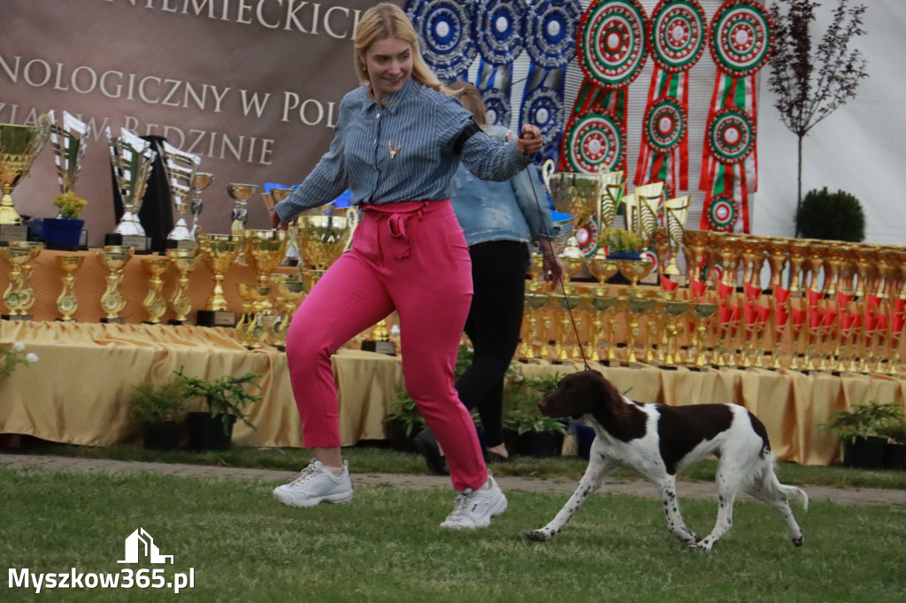 Fotorelacja - Wystawa Psów Rasowych GNIAZDÓW 2024r.