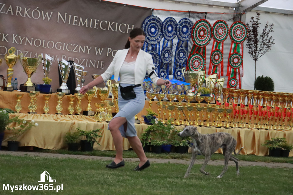 Fotorelacja - Wystawa Psów Rasowych GNIAZDÓW 2024r.