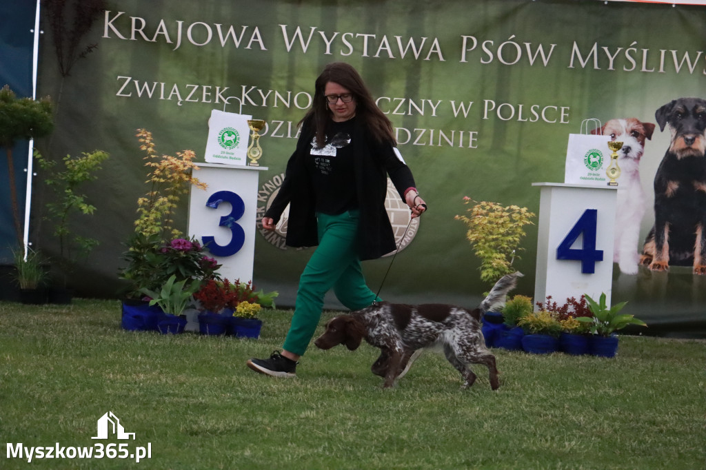 Fotorelacja - Wystawa Psów Rasowych GNIAZDÓW 2024r.