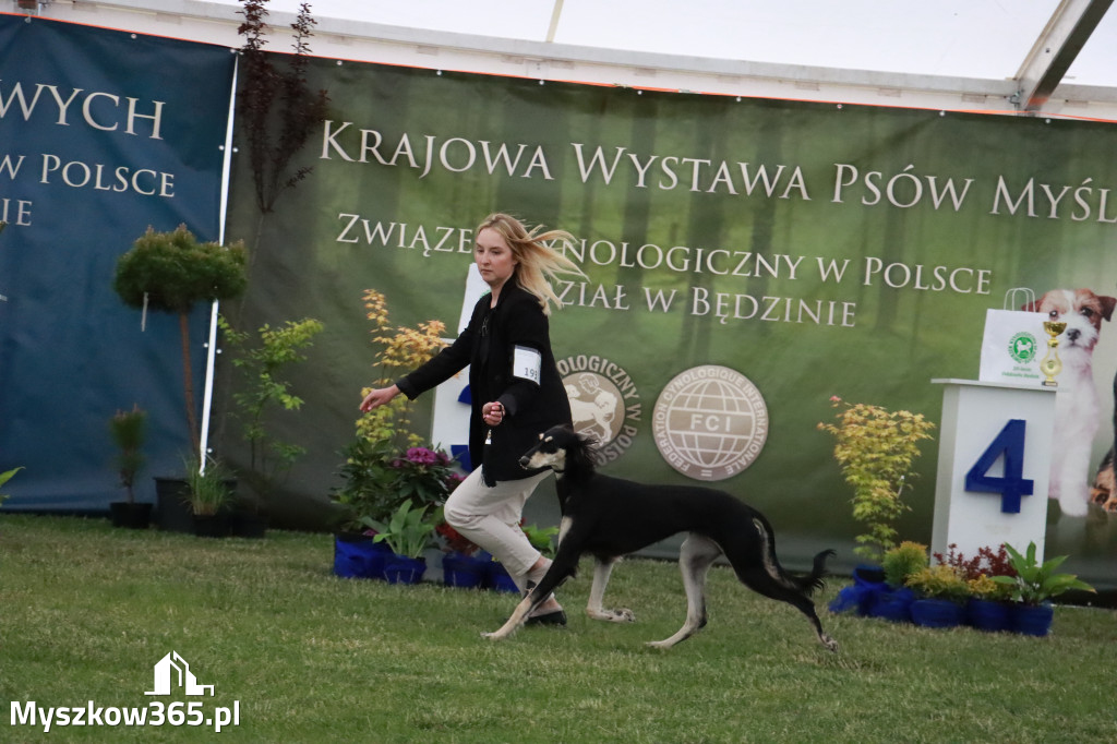 Fotorelacja - Wystawa Psów Rasowych GNIAZDÓW 2024r.