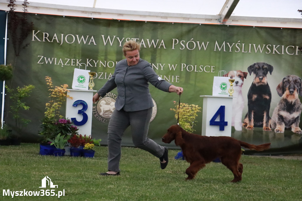 Fotorelacja - Wystawa Psów Rasowych GNIAZDÓW 2024r.