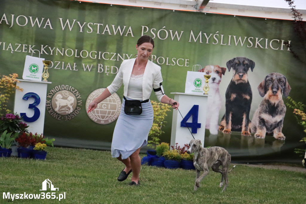 Fotorelacja - Wystawa Psów Rasowych GNIAZDÓW 2024r.