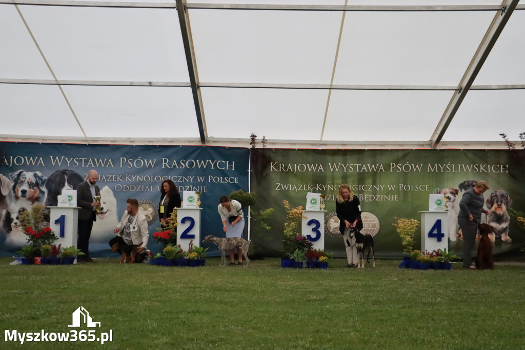 Fotorelacja - Wystawa Psów Rasowych GNIAZDÓW 2024r.