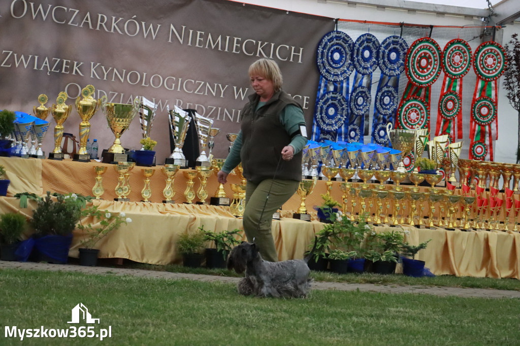 Fotorelacja - Wystawa Psów Rasowych GNIAZDÓW 2024r.