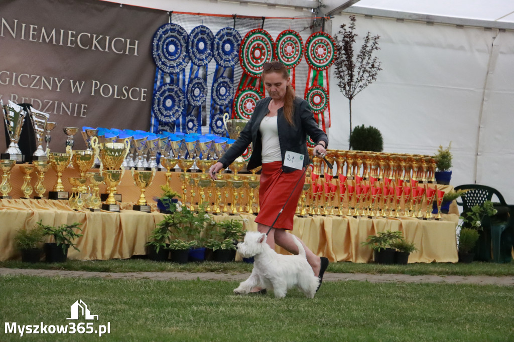 Fotorelacja - Wystawa Psów Rasowych GNIAZDÓW 2024r.