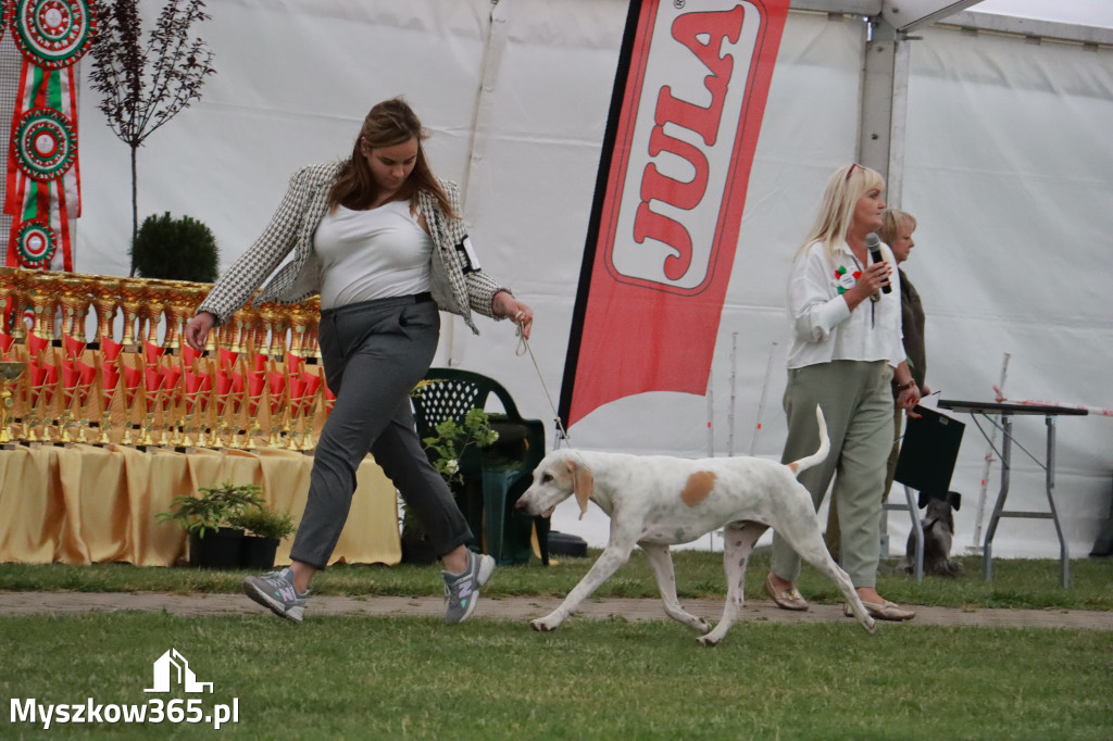 Fotorelacja - Wystawa Psów Rasowych GNIAZDÓW 2024r.