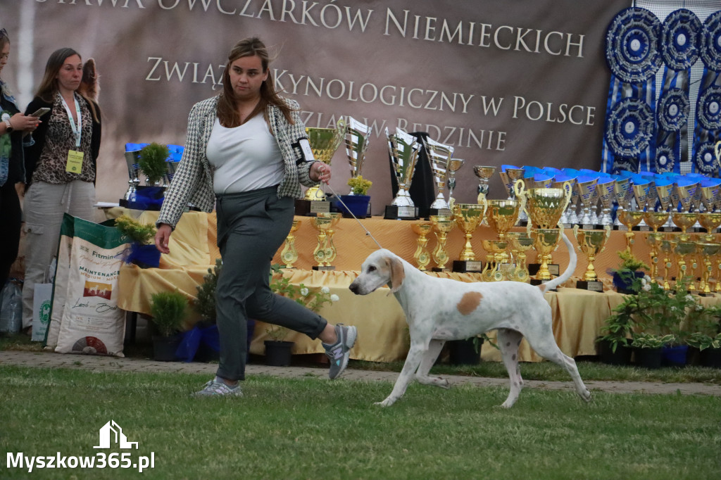 Fotorelacja - Wystawa Psów Rasowych GNIAZDÓW 2024r.