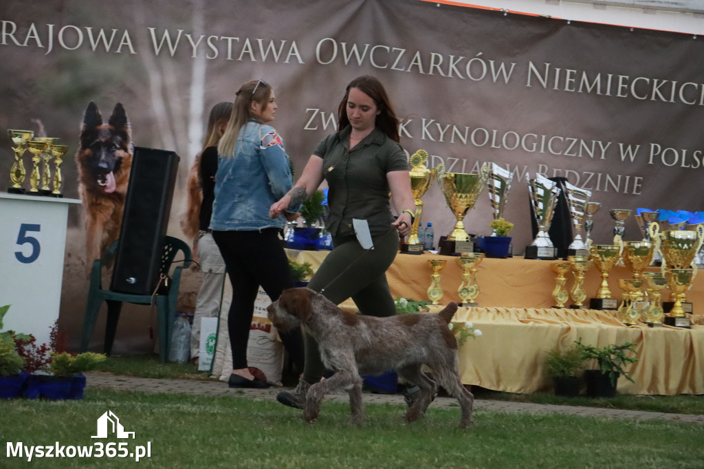 Fotorelacja - Wystawa Psów Rasowych GNIAZDÓW 2024r.