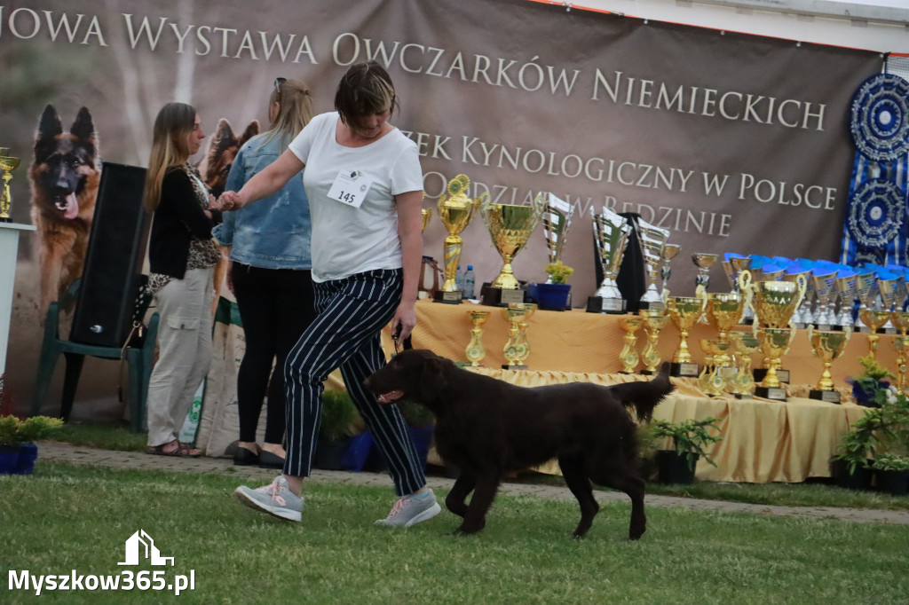 Fotorelacja - Wystawa Psów Rasowych GNIAZDÓW 2024r.