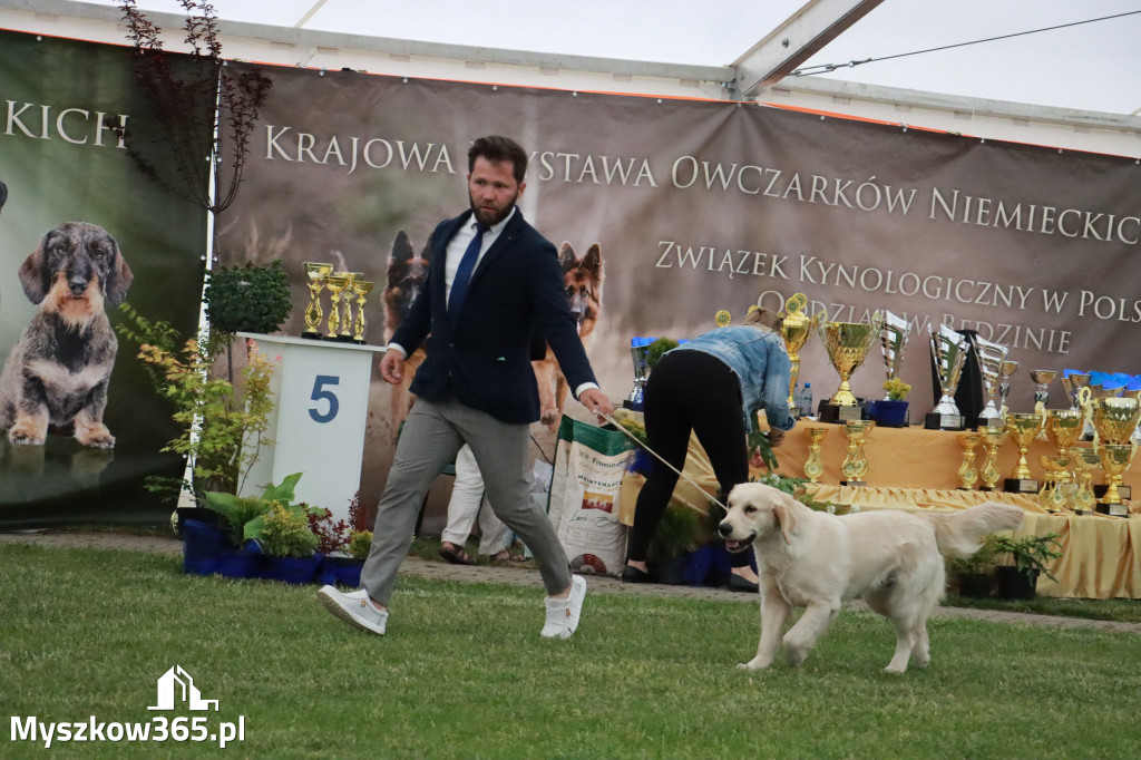 Fotorelacja - Wystawa Psów Rasowych GNIAZDÓW 2024r.