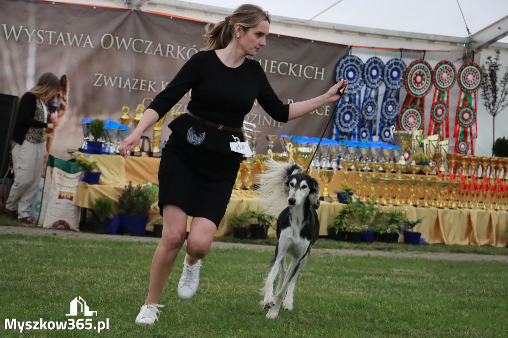 Fotorelacja - Wystawa Psów Rasowych GNIAZDÓW 2024r.