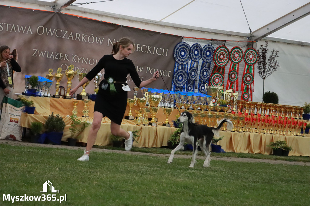 Fotorelacja - Wystawa Psów Rasowych GNIAZDÓW 2024r.