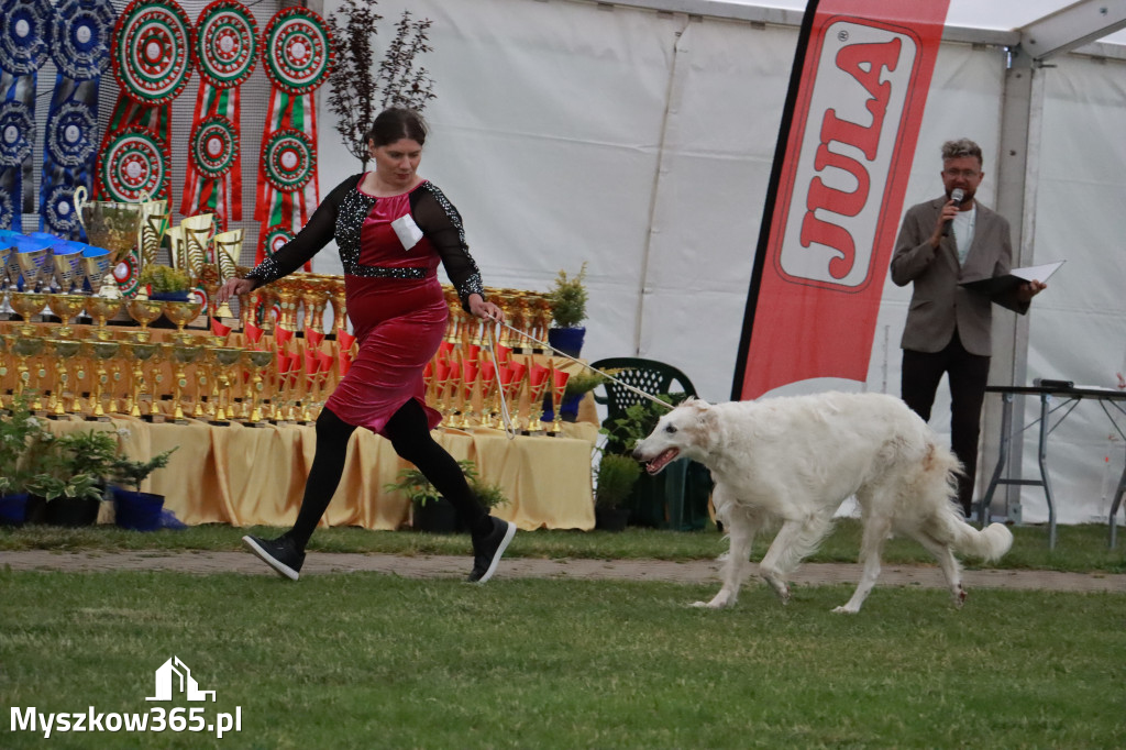 Fotorelacja - Wystawa Psów Rasowych GNIAZDÓW 2024r.