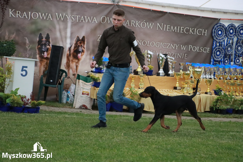 Fotorelacja - Wystawa Psów Rasowych GNIAZDÓW 2024r.