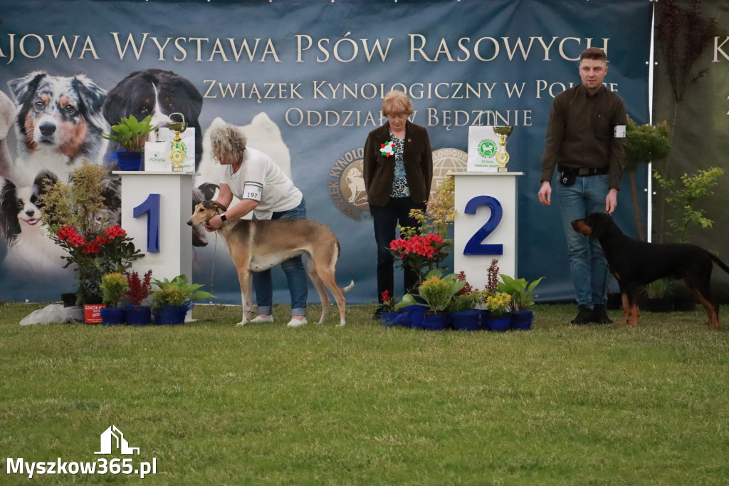 Fotorelacja - Wystawa Psów Rasowych GNIAZDÓW 2024r.