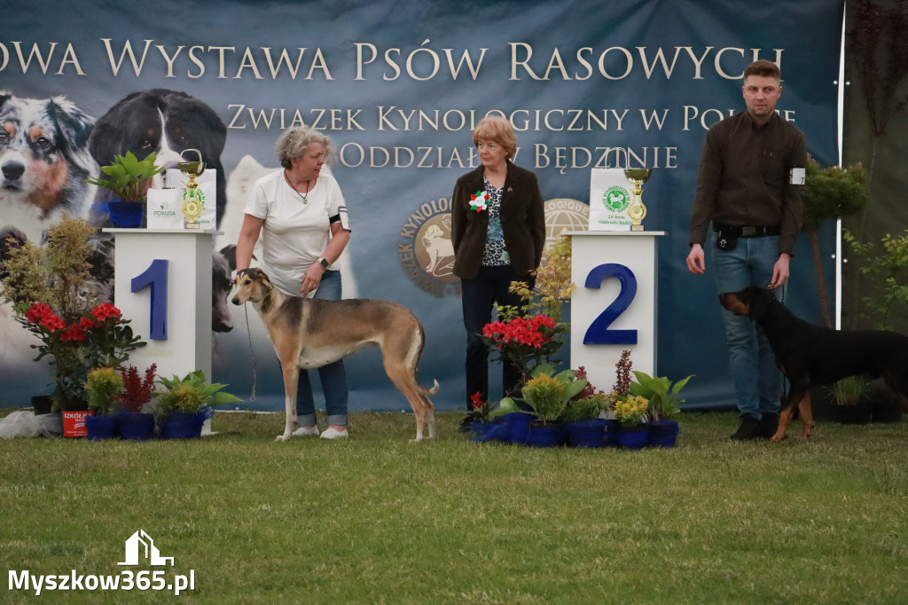 Fotorelacja - Wystawa Psów Rasowych GNIAZDÓW 2024r.