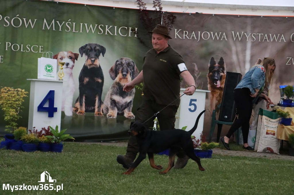 Fotorelacja - Wystawa Psów Rasowych GNIAZDÓW 2024r.