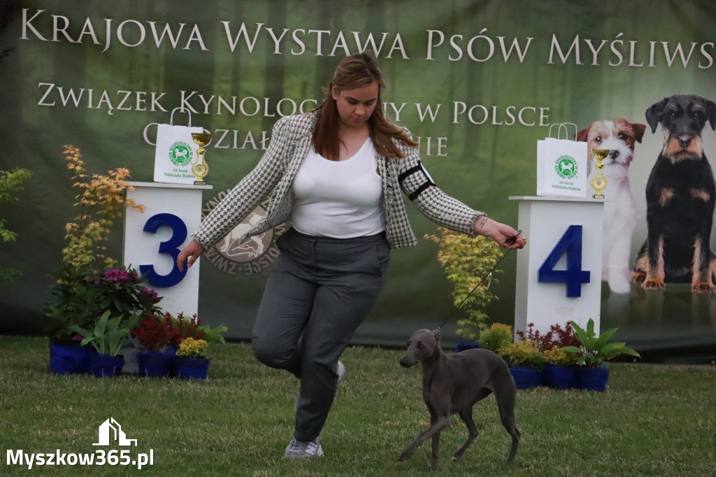 Fotorelacja - Wystawa Psów Rasowych GNIAZDÓW 2024r.