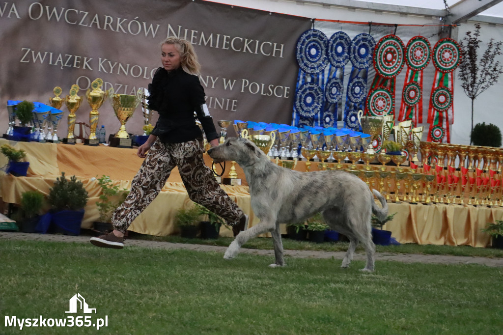 Fotorelacja - Wystawa Psów Rasowych GNIAZDÓW 2024r.