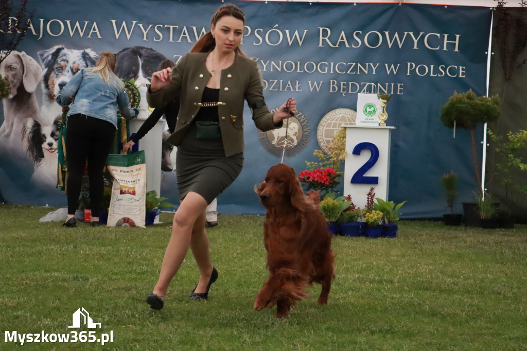 Fotorelacja - Wystawa Psów Rasowych GNIAZDÓW 2024r.