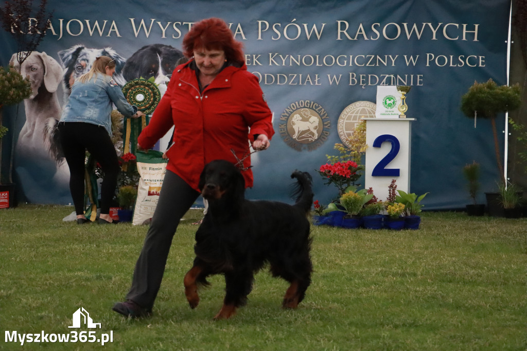 Fotorelacja - Wystawa Psów Rasowych GNIAZDÓW 2024r.