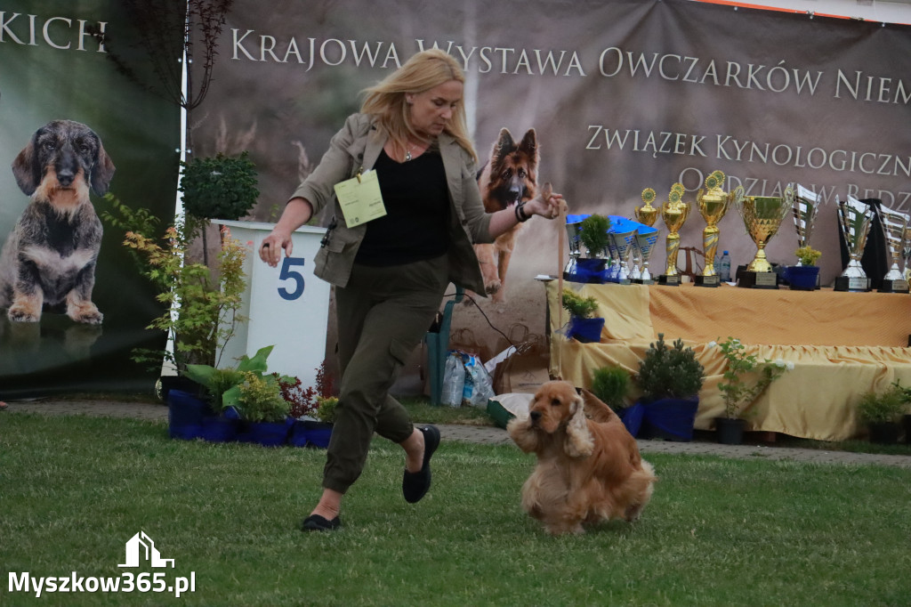 Fotorelacja - Wystawa Psów Rasowych GNIAZDÓW 2024r.