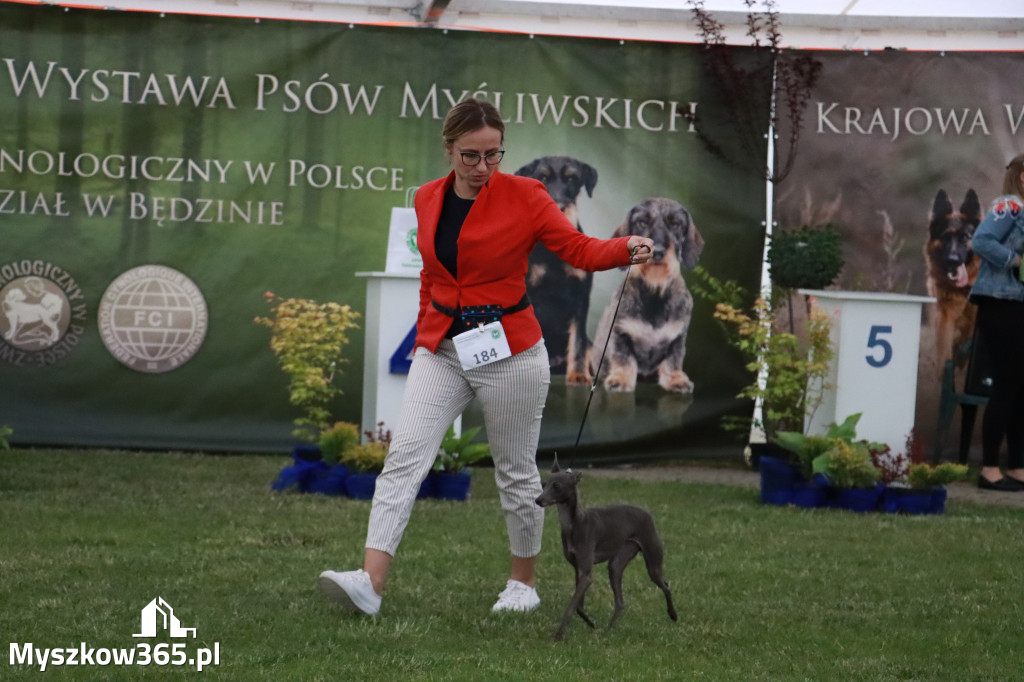 Fotorelacja - Wystawa Psów Rasowych GNIAZDÓW 2024r.