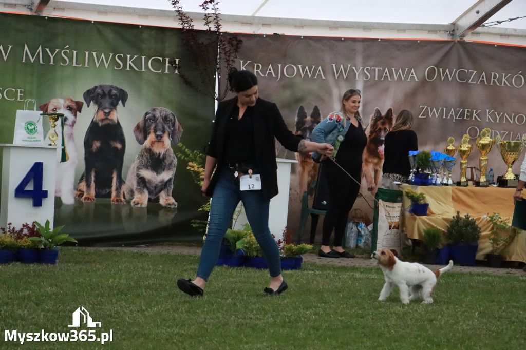 Fotorelacja - Wystawa Psów Rasowych GNIAZDÓW 2024r.