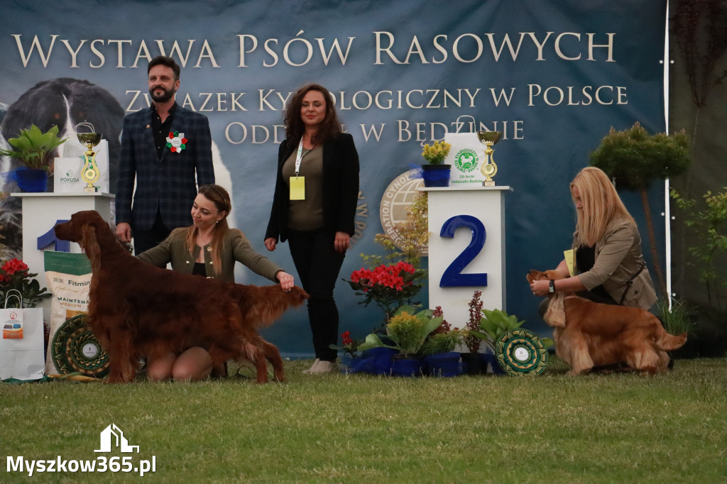 Fotorelacja - Wystawa Psów Rasowych GNIAZDÓW 2024r.