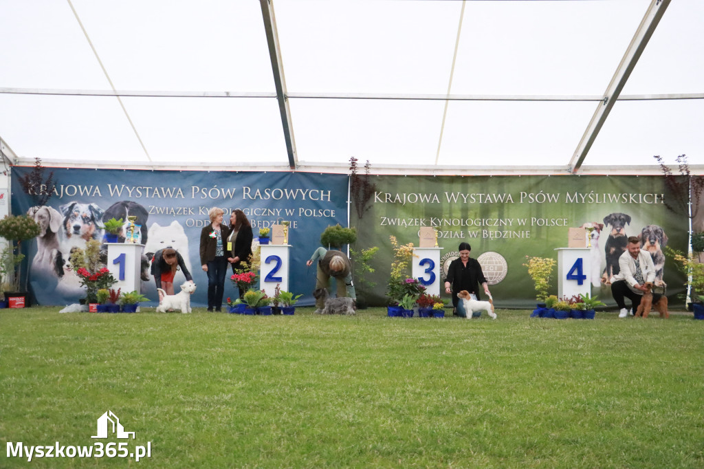 Fotorelacja - Wystawa Psów Rasowych GNIAZDÓW 2024r.