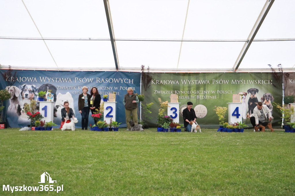 Fotorelacja - Wystawa Psów Rasowych GNIAZDÓW 2024r.